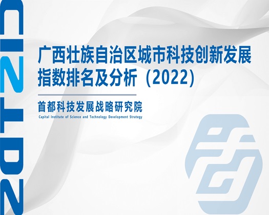 男女插视屏网站jb【成果发布】广西壮族自治区城市科技创新发展指数排名及分析（2022）